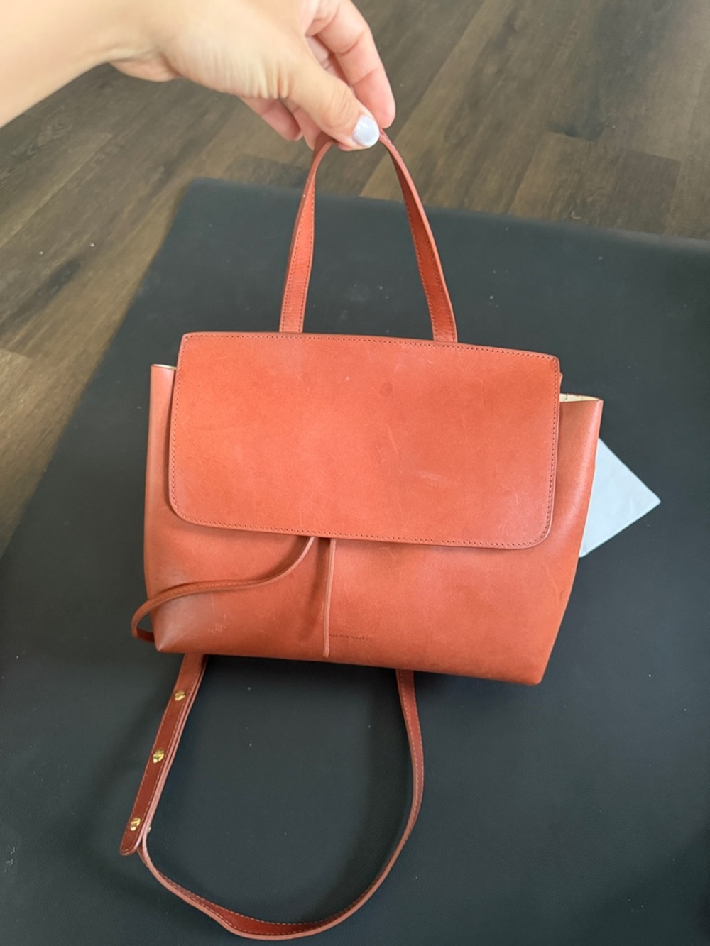 Mansur gavriel lady bag
